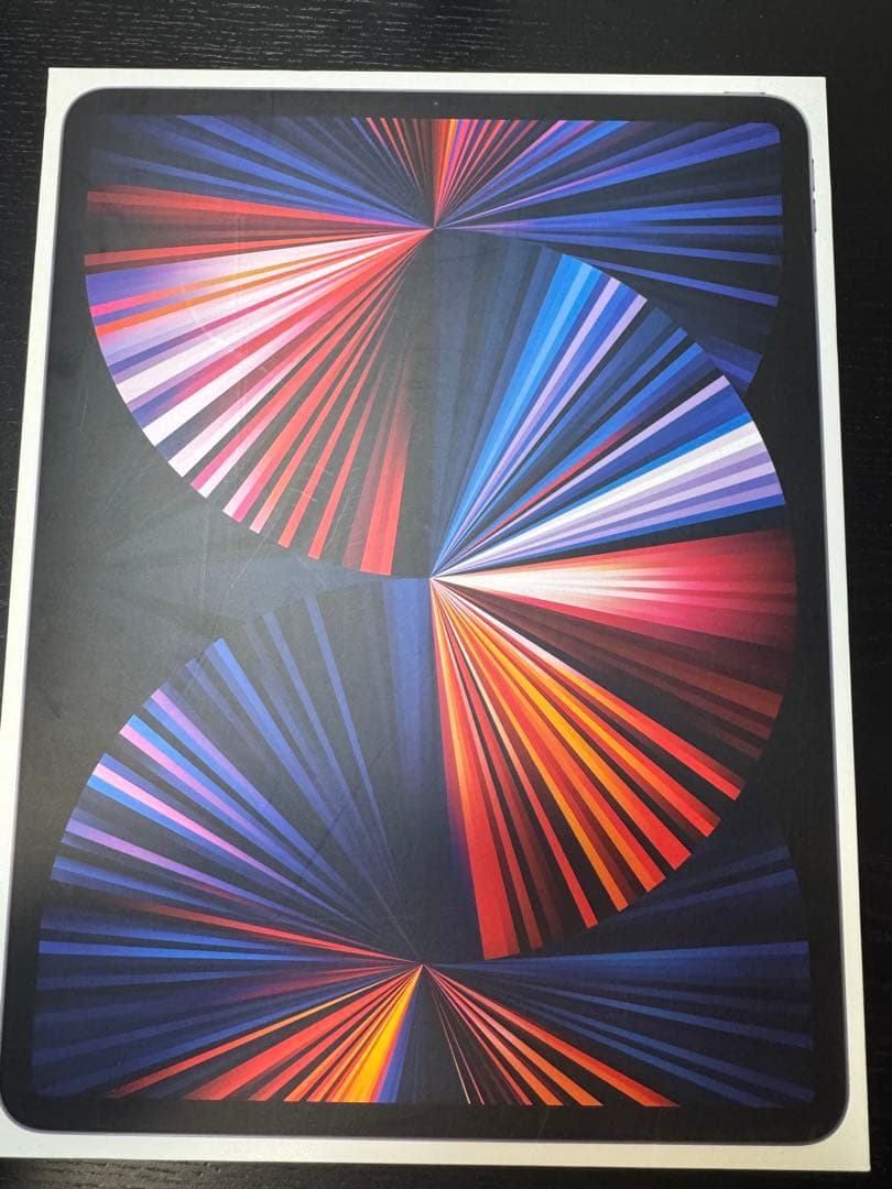 【a】美品 iPad Pro 12.9 5世代 256GB
