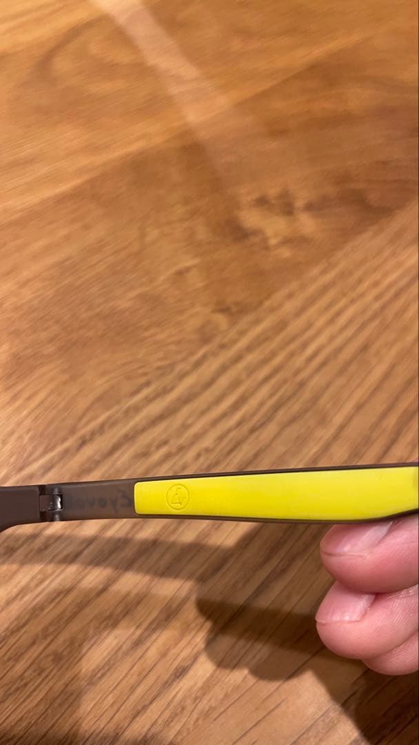 Eyevolサングラス&BRIEFING カモフラージュ サングラスケース