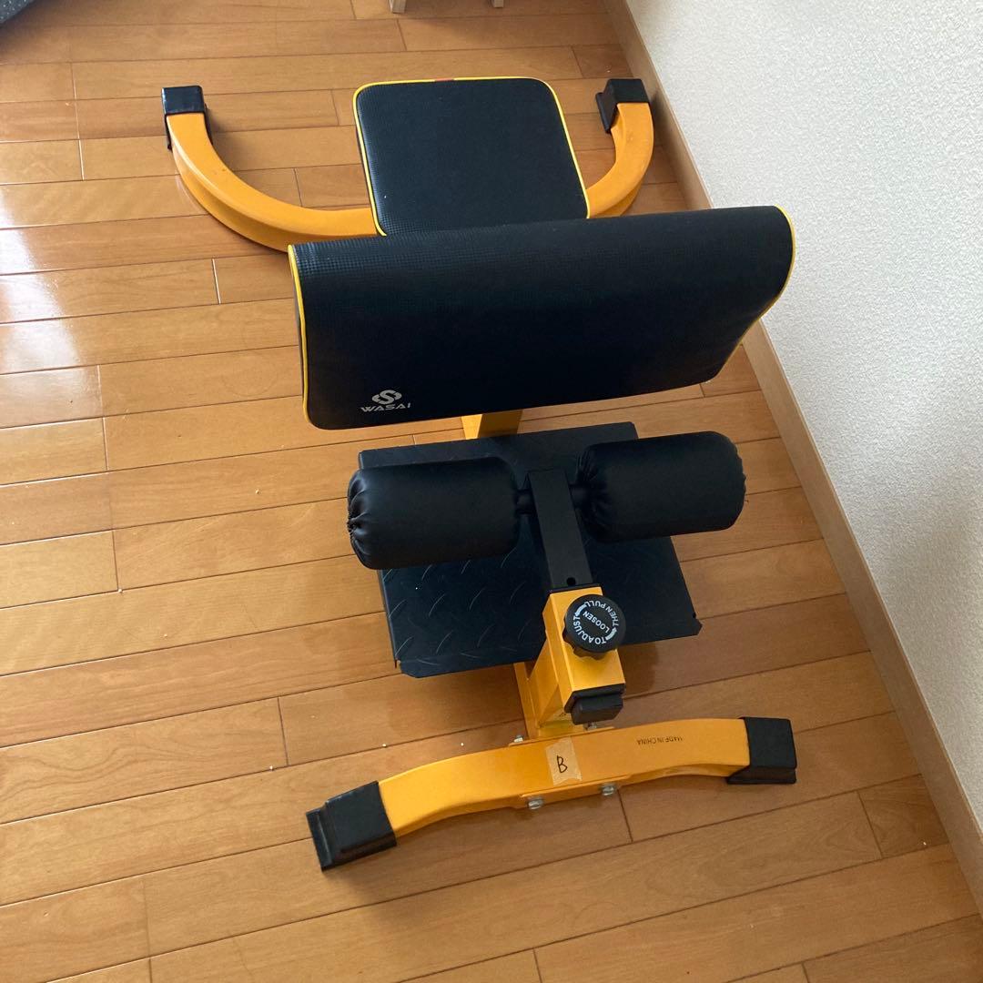 WASAI シッシースクワットマシン