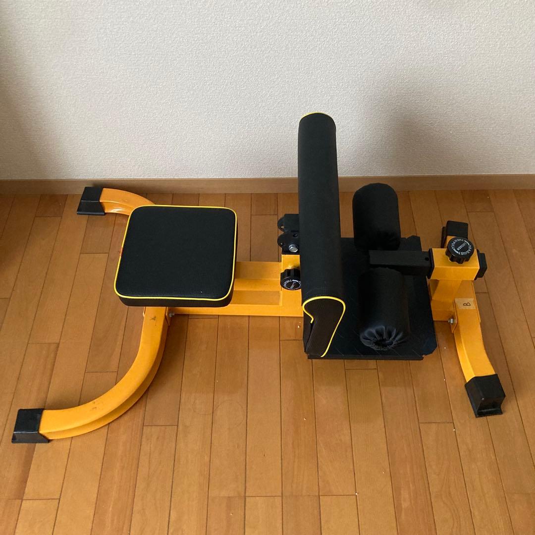 WASAI シッシースクワットマシン