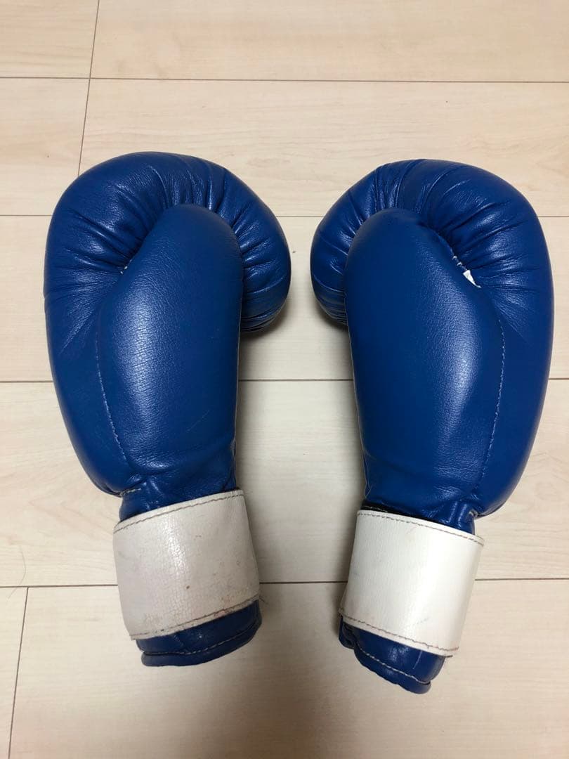 winning ウィニングボクシンググローブ ブルー　12オンス AM-12