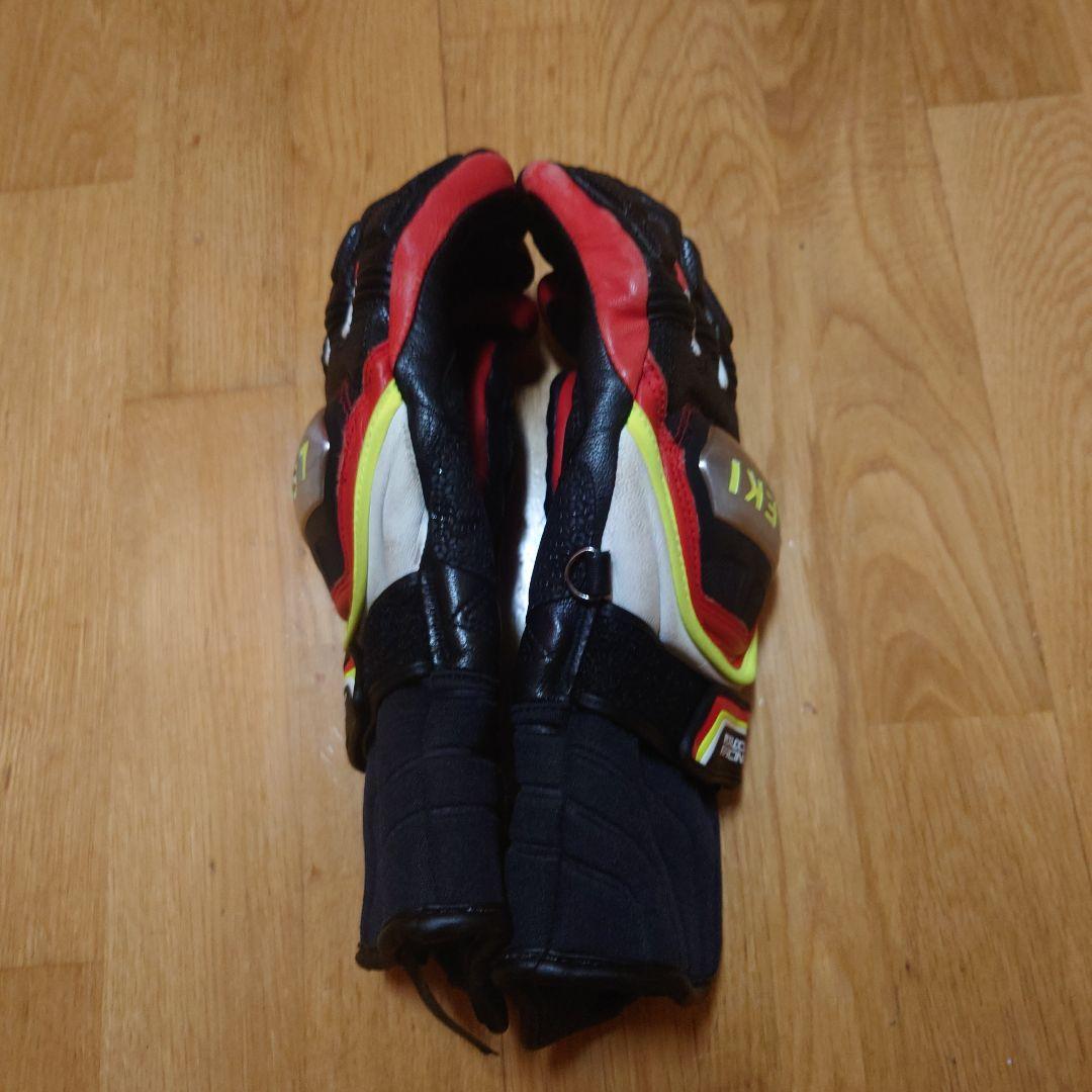 LEKI Worldcup スキーグローブ