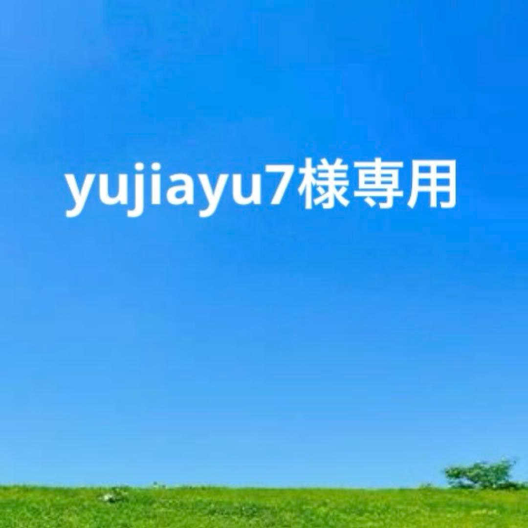 未使用　GUCCIグッチ　レザー×キャンバス　二つ折り財布　GG 箱付き