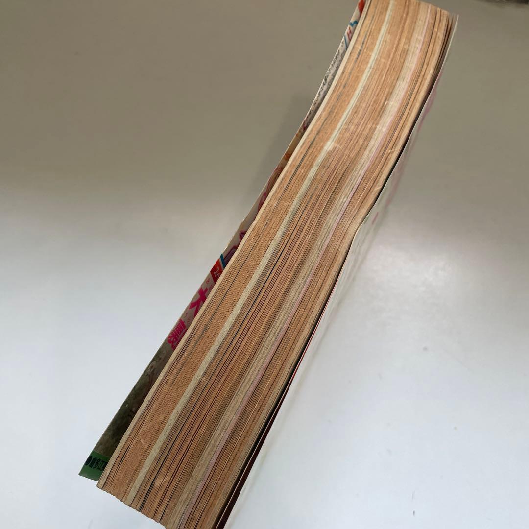 月刊LaLa 1981年9月号 白泉社 創刊5周年記念特大号 本誌 雑誌