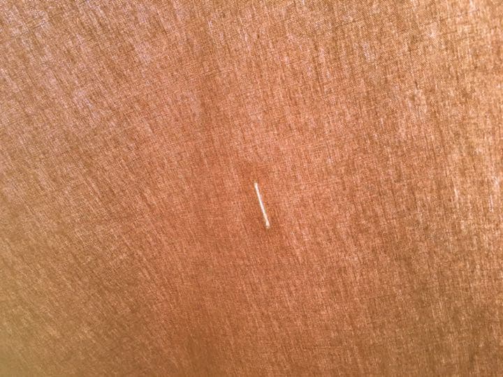 テント・タープ 5m Bell Tent BOUTIQUE CAMPING