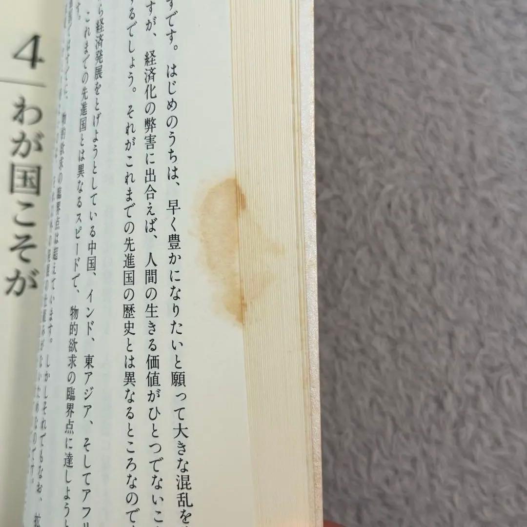 森と平野に分化定住する時代　マドモアゼル愛