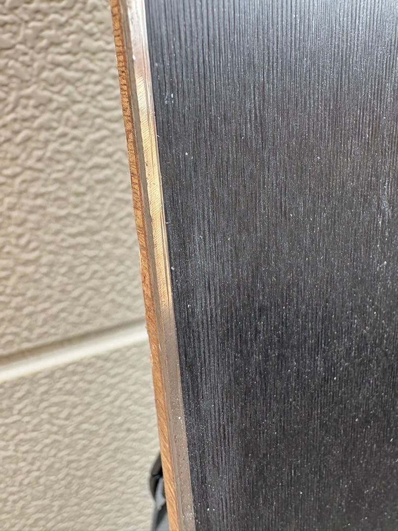 スキー Dynastar Legend Pro Rider 105 Skis 175cm