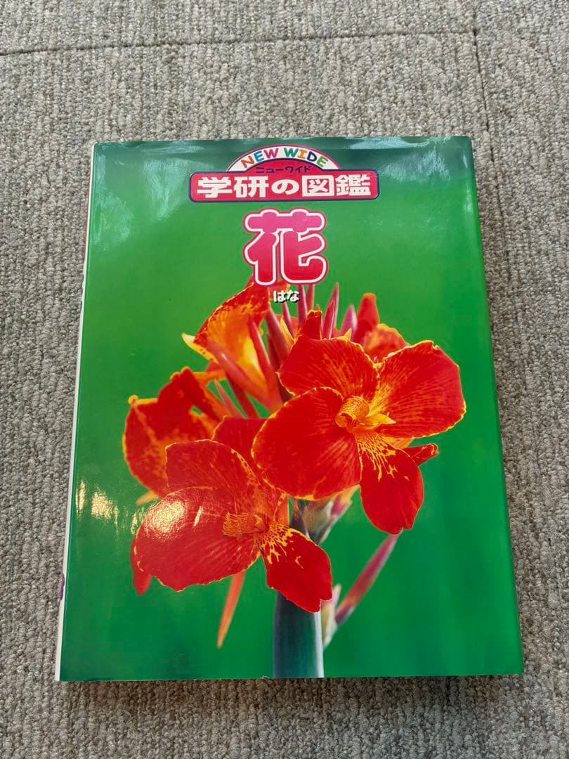 ニューワイド【学研の図鑑】　20冊セット　まとめ売り