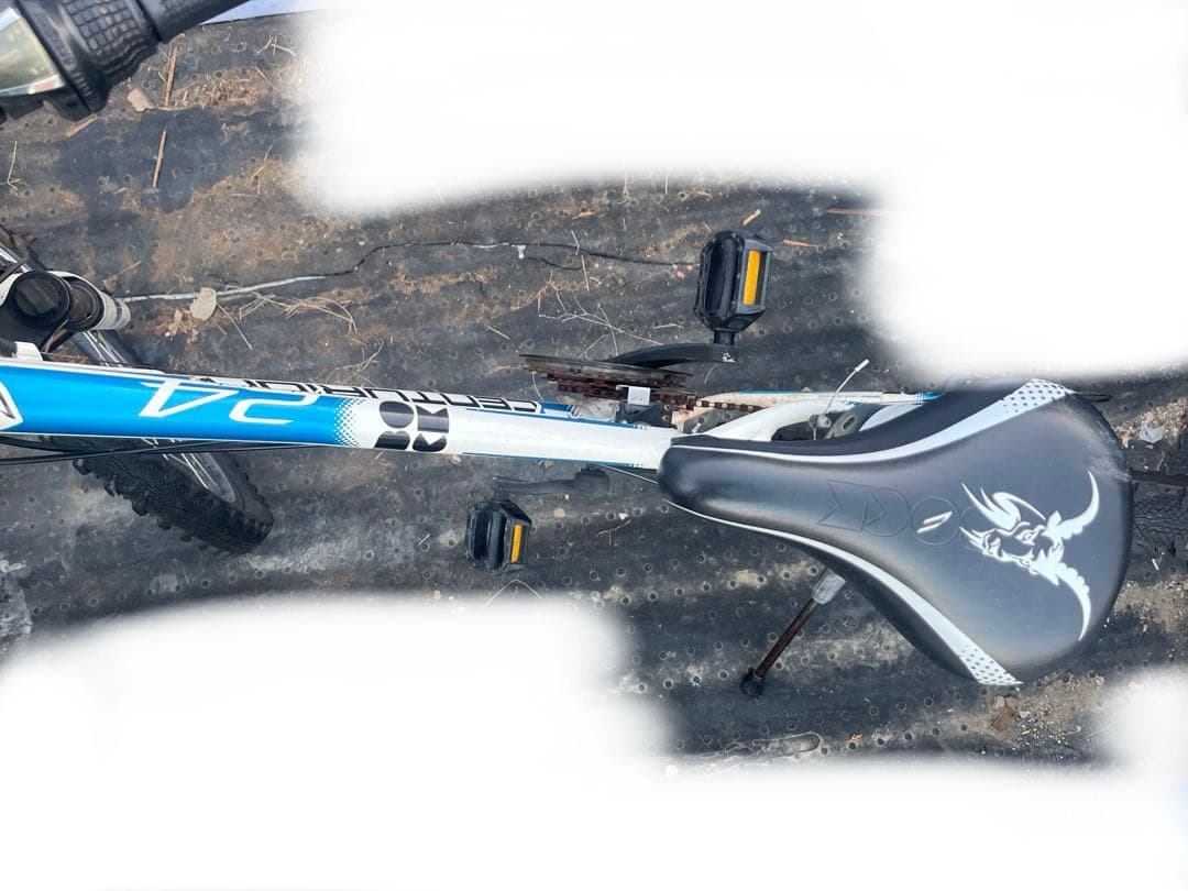 CENTURION センチュリオン R’BOCK 24インチ子供用自転車　バイク