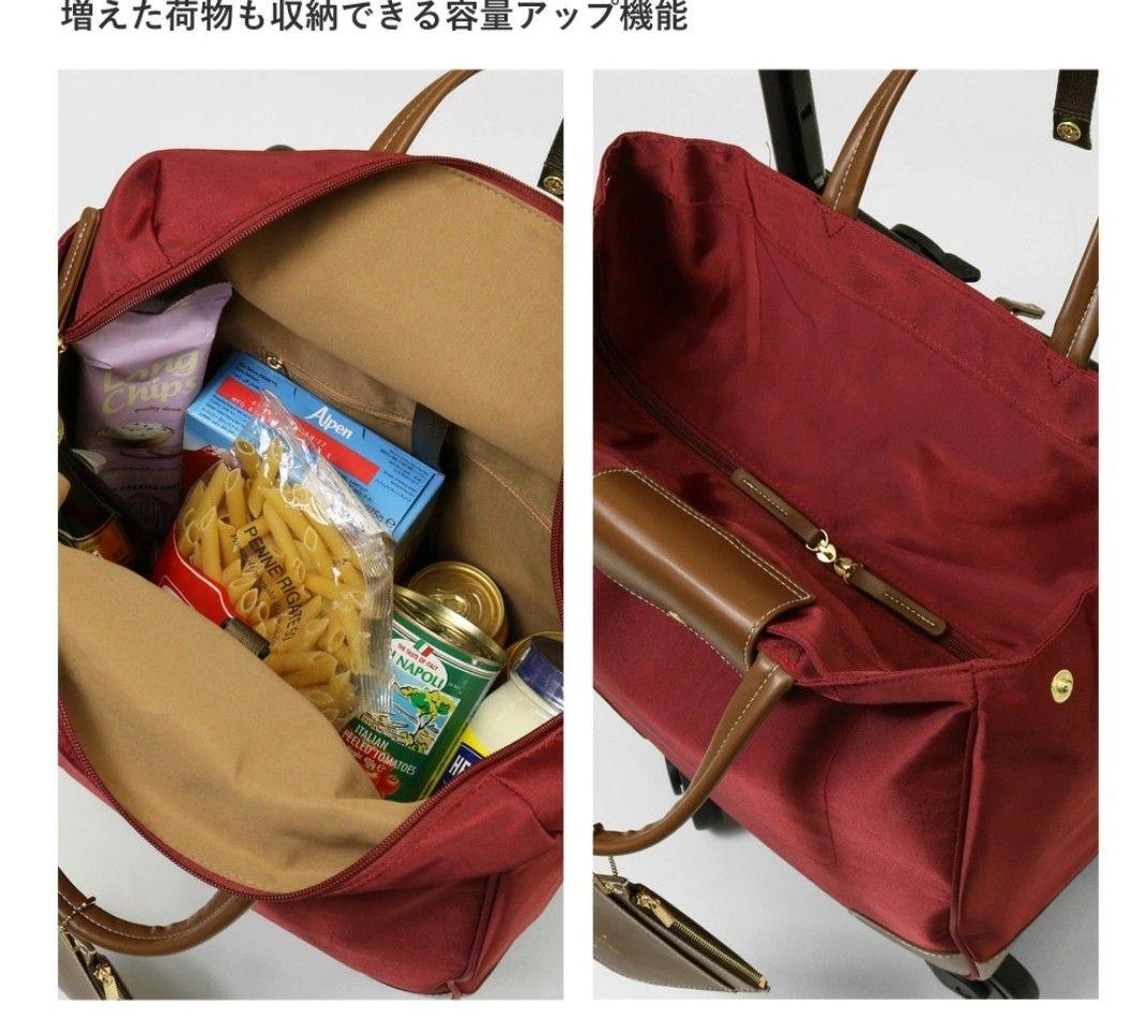 スワニー キャリーバッグ トランジットラウンジ 東京デリカオリジナル