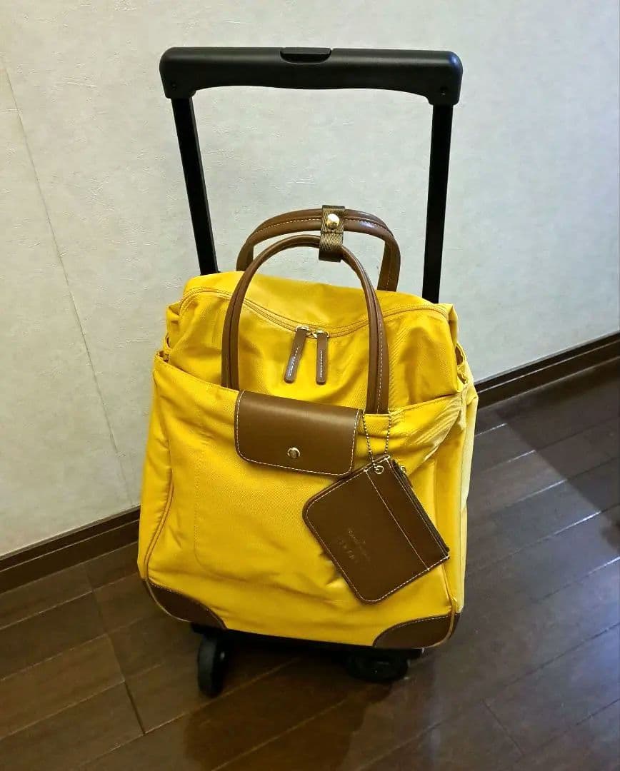 スワニー キャリーバッグ トランジットラウンジ 東京デリカオリジナル