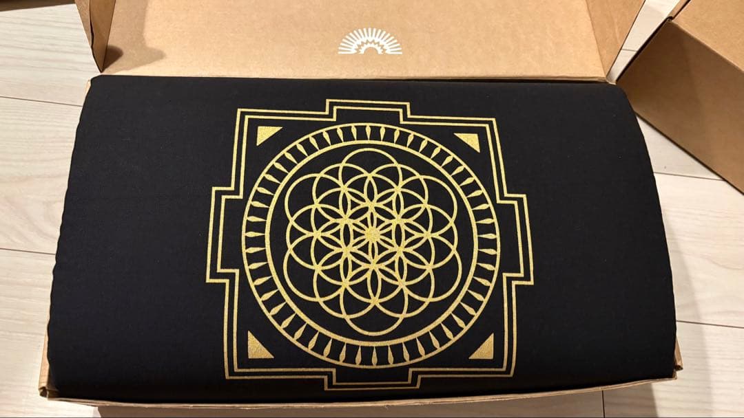 正規品タグ付き　シャクティマットandピローセット