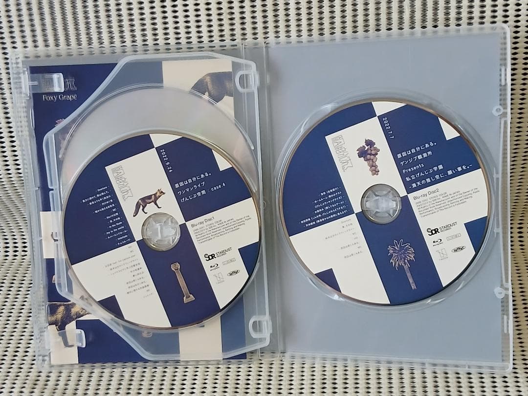 原因は自分にある。　Foxy Grape(観測所限定盤)