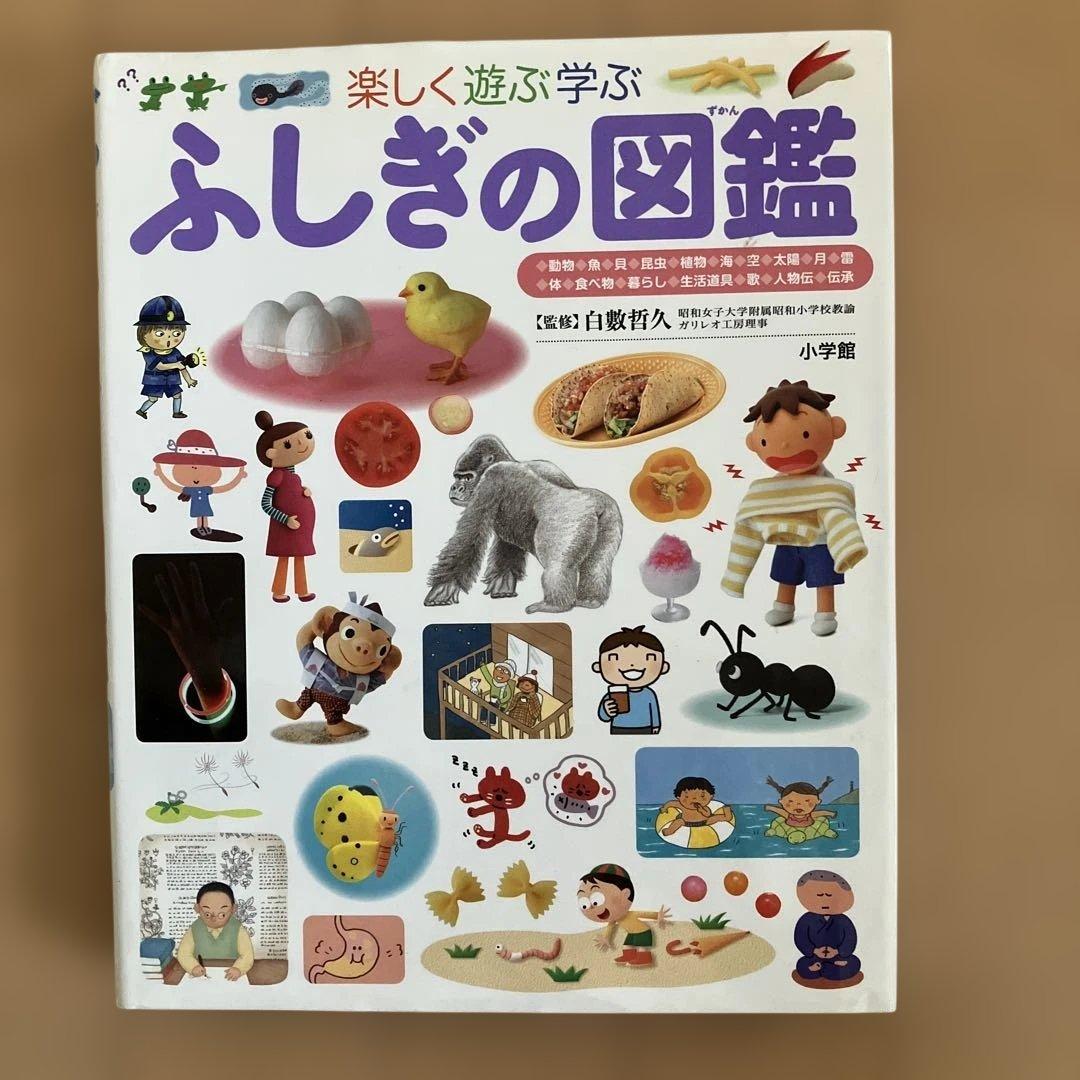 小学館の図鑑NEOシリーズ 13冊セット