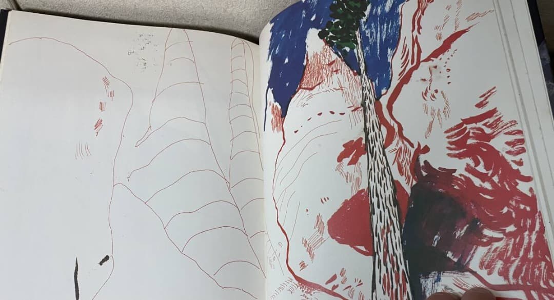 David Hockney Martha's Vineyard and ・大型本