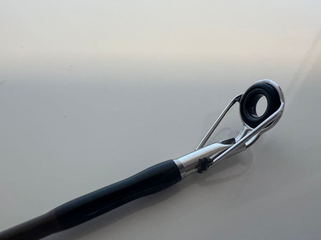 ザウルス フィリプソン バスティマー EC60B