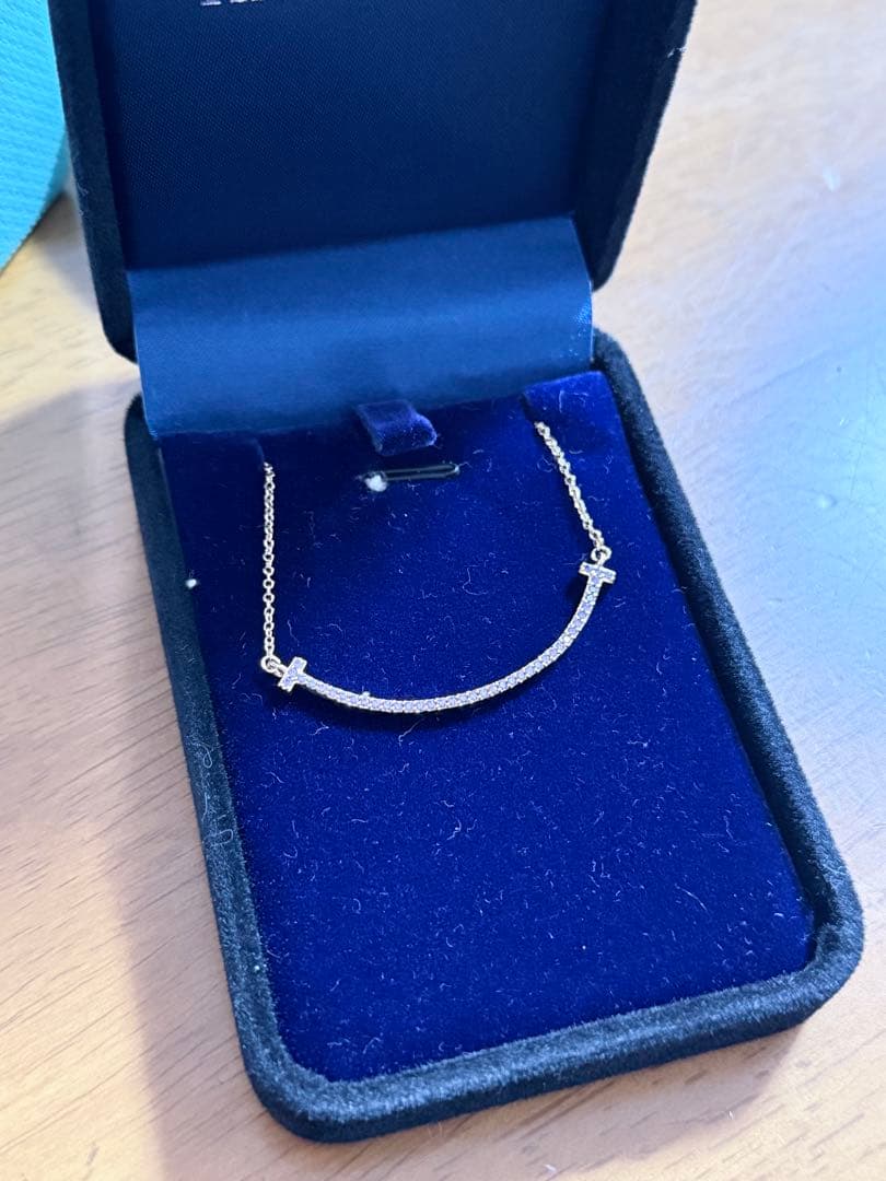 TIFFANY & CO. ネックレス（紫色の宝石付き）