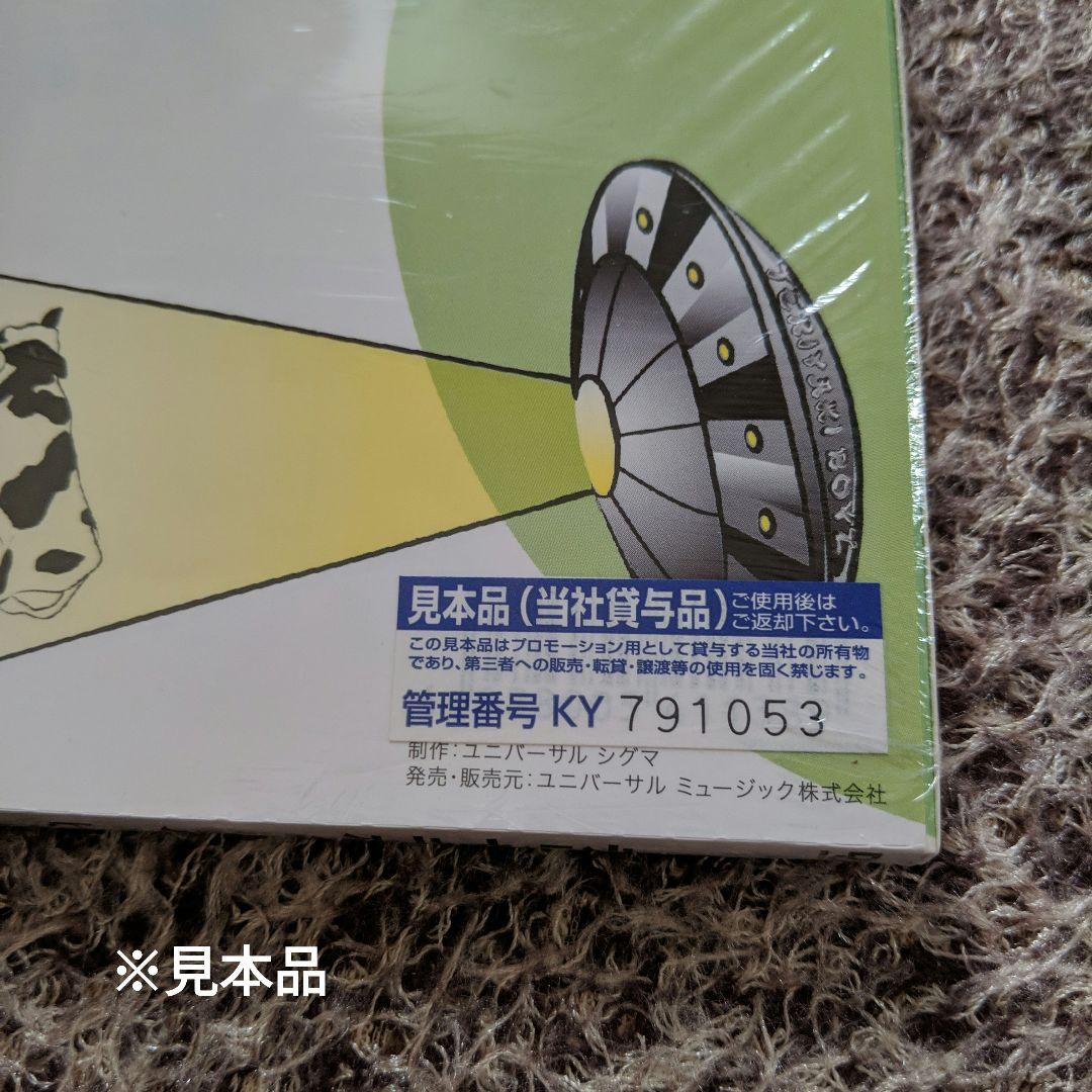 ★TERIYAKI BOYZ テリヤキボーイズ CD,DVD 8枚 おまけ付★