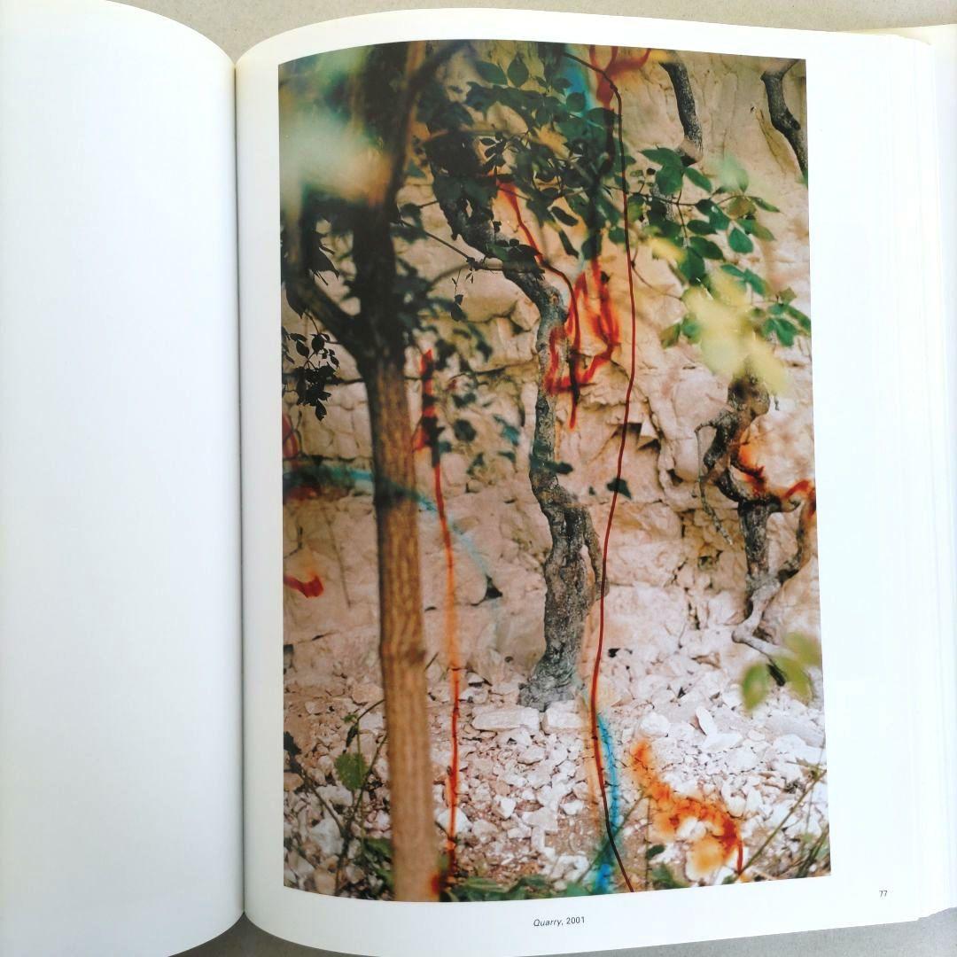 View from above:Wolfgang Tillmans/写真集 洋書