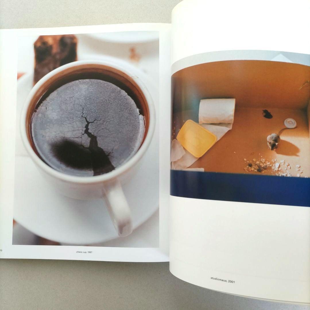 View from above:Wolfgang Tillmans/写真集 洋書