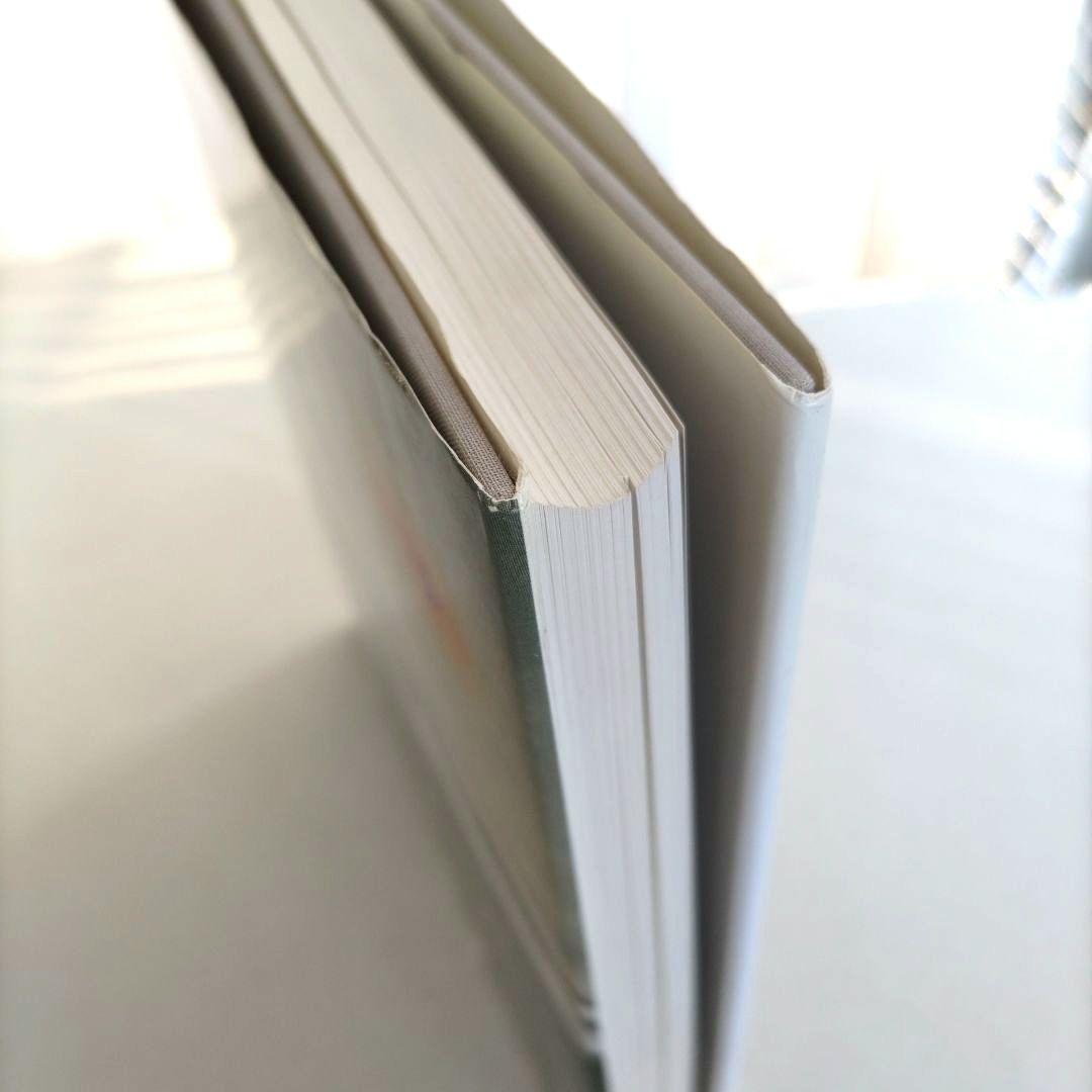 View from above:Wolfgang Tillmans/写真集 洋書