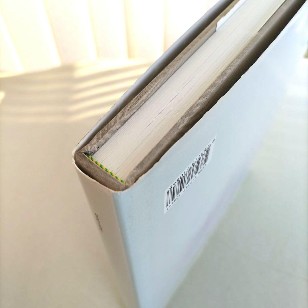 View from above:Wolfgang Tillmans/写真集 洋書