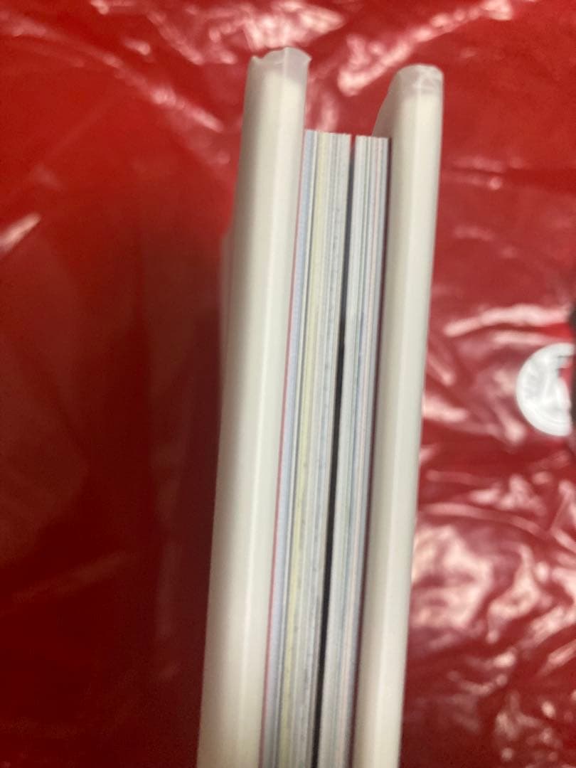 Rita Ackermann/リタ・アッカーマン ワークス 1993-1996