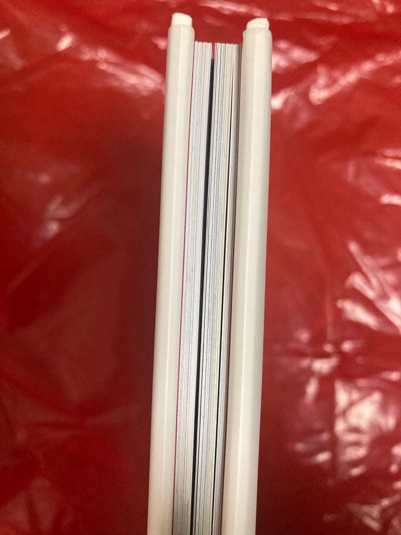 Rita Ackermann/リタ・アッカーマン ワークス 1993-1996