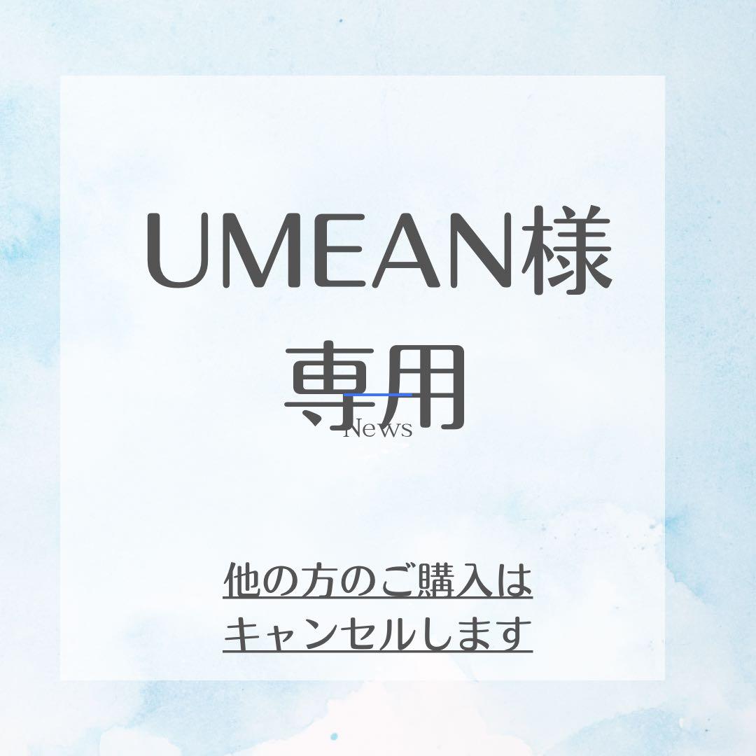 その他 UMEAN