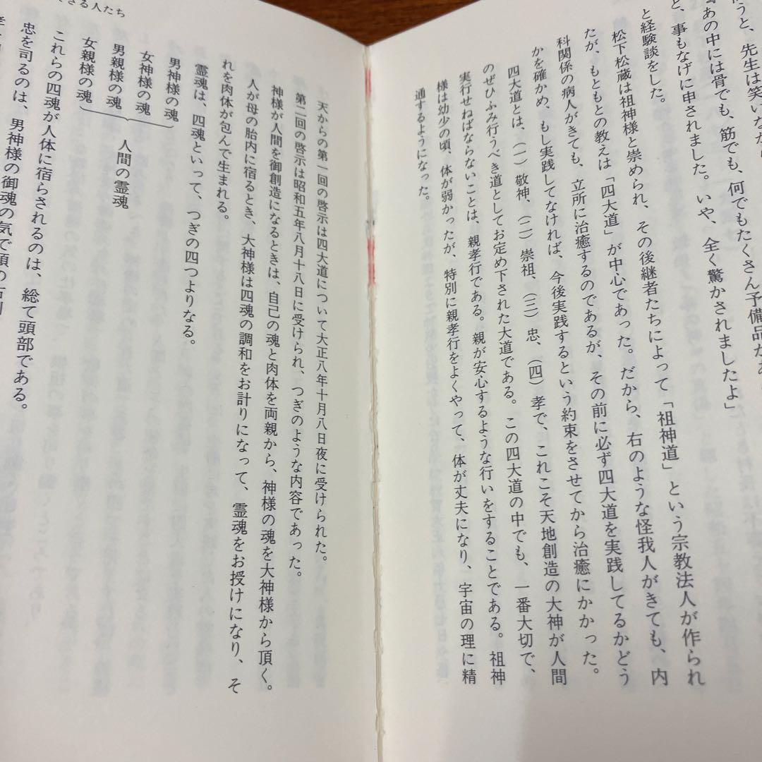 念波　未来の夢に絶大な波及効果　関 英男 著
