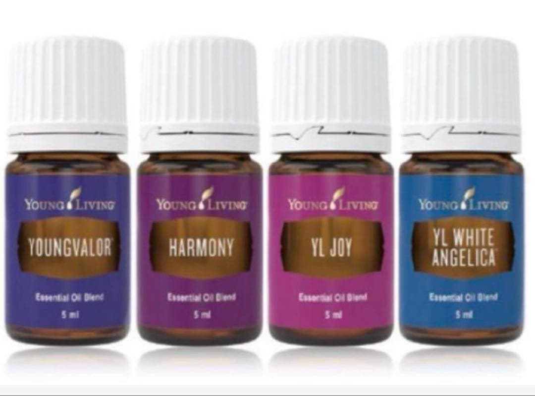 ヤングリビング ベーシックキット ブレンド4本セット 新品未使用