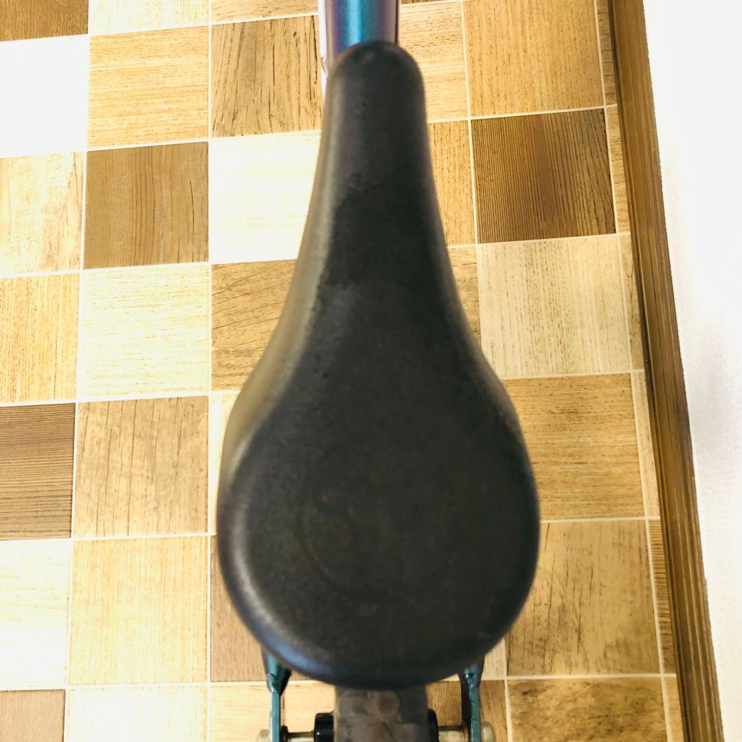 STRIDER Pro ストライダー　プロ　12インチ　メタリックアクア