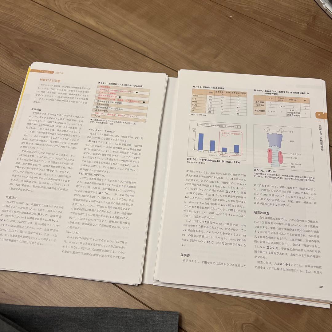 【裁断済み】犬と猫の内分泌代謝疾患