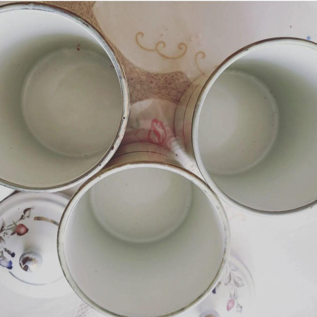 フランスアンティーク 薔薇とパンジー JAPY ホーローキャニスター 3つセット