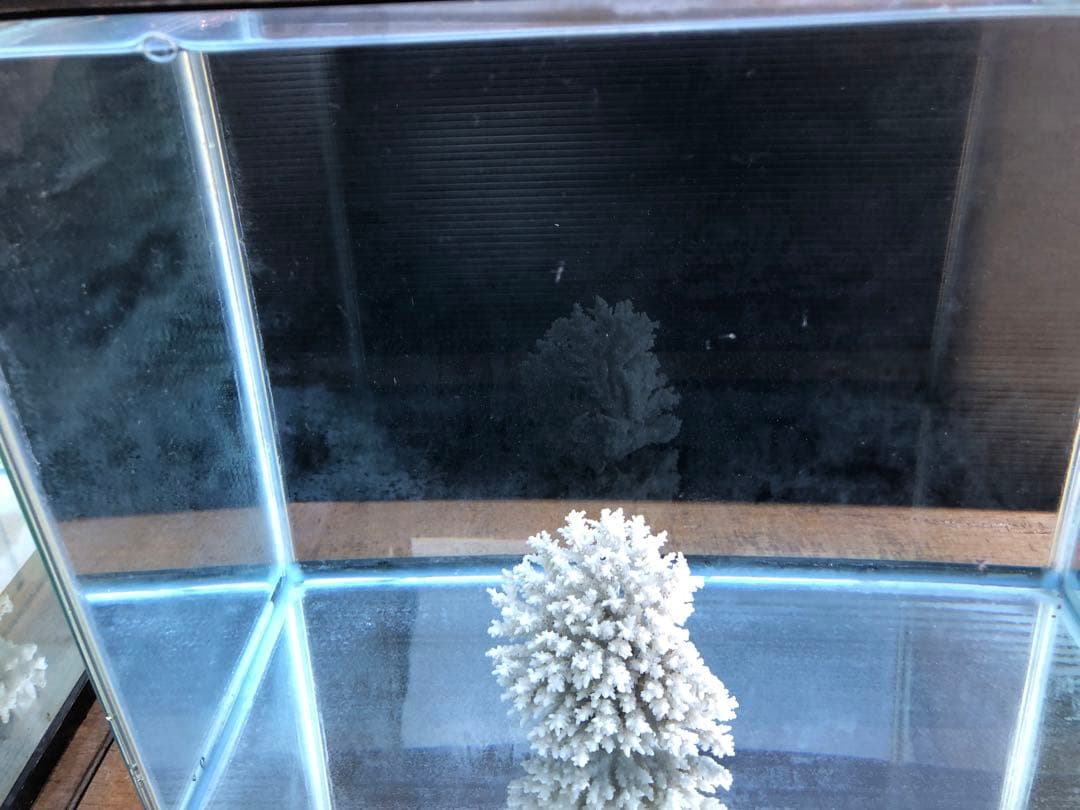 か*ん様 水槽45×30×H36cm 2本