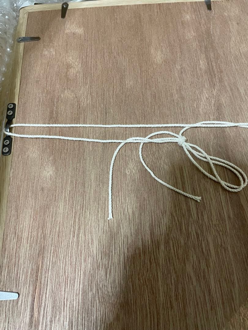 限定50枚　山口一郎 / ジクレー印刷/ネコ」 / Mサイズ / アートポスター