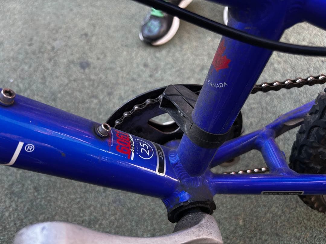 Louis Garneau キッズバイク 青