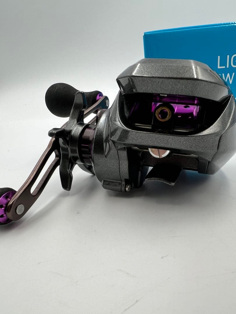 DAIWA LIGHT SW X IC ベイトリール