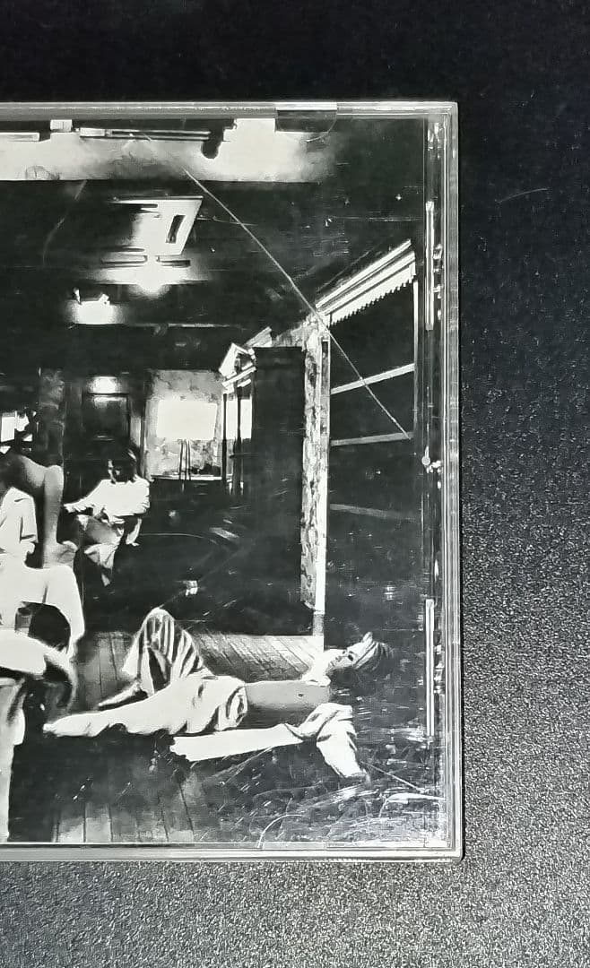 D+SHADE HIBIKI セット