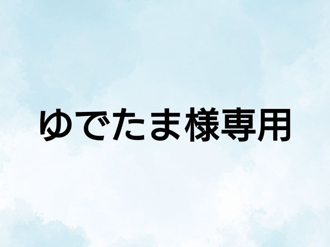 【専用出品】①