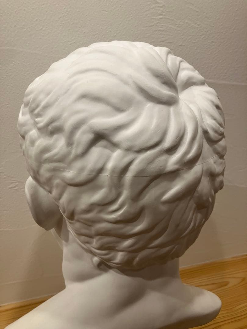 石膏像 アグリッパ デッサン用