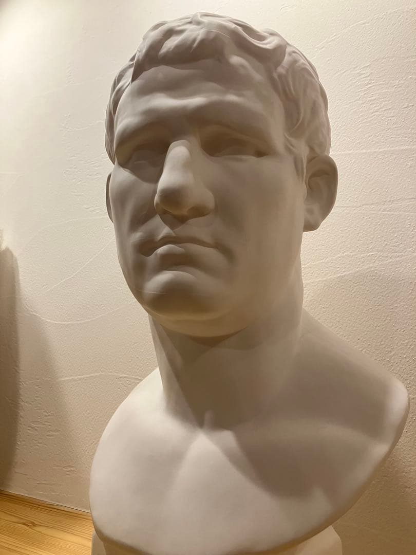 石膏像 アグリッパ デッサン用