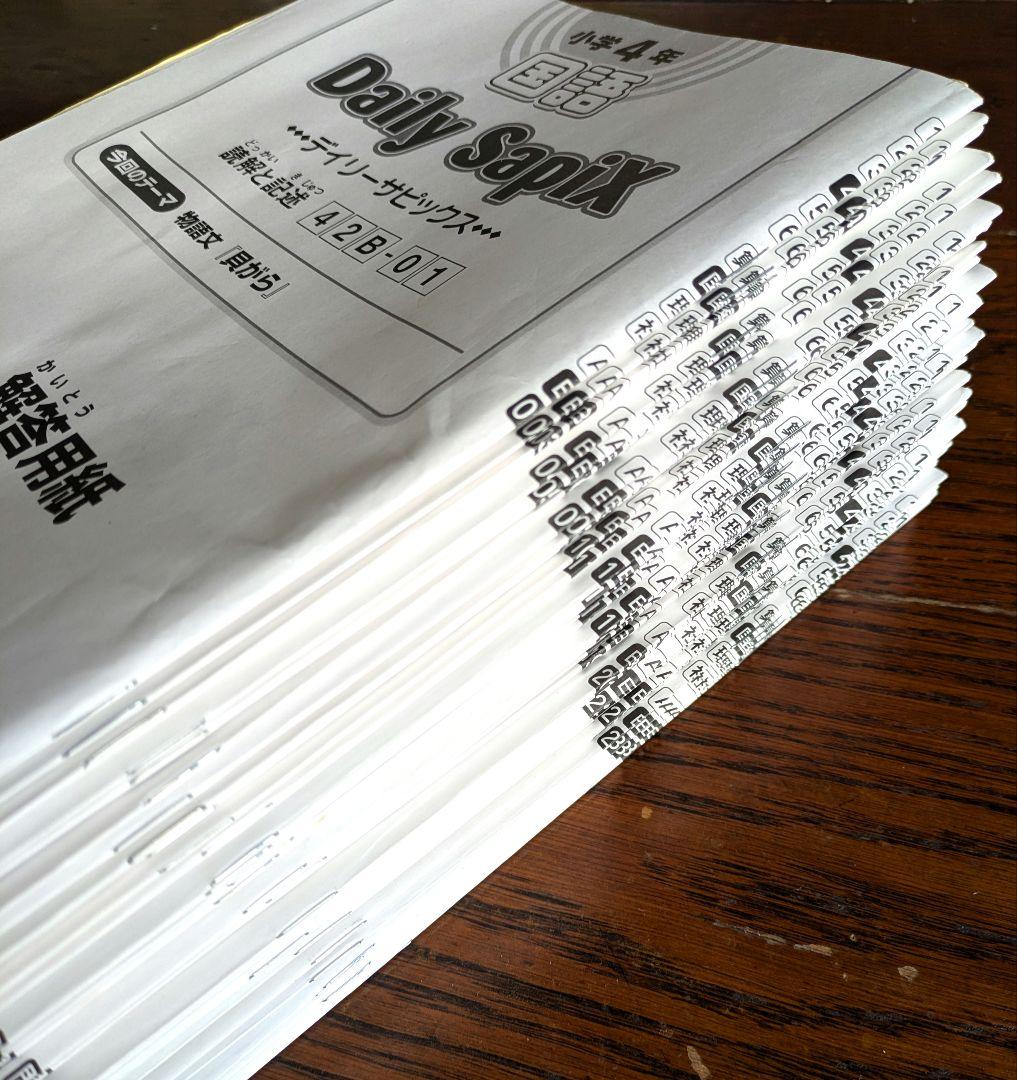 デイリーサピックス　4年生 　国語　B教材セット 通常レッスン　1年分　処理済