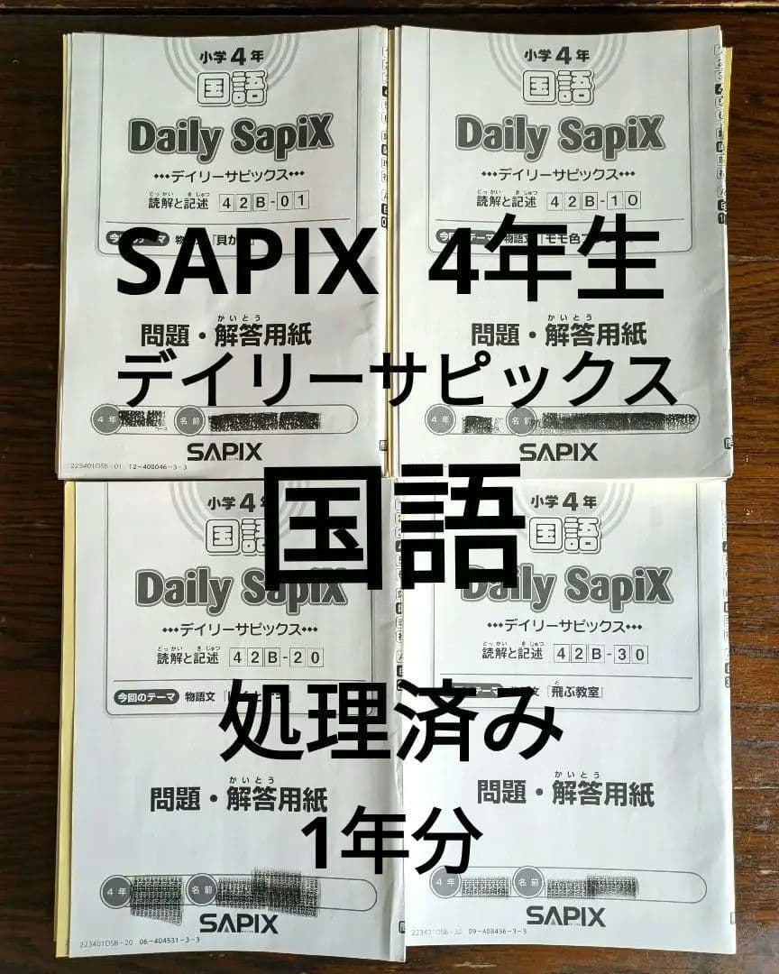 デイリーサピックス　4年生 　国語　B教材セット 通常レッスン　1年分　処理済