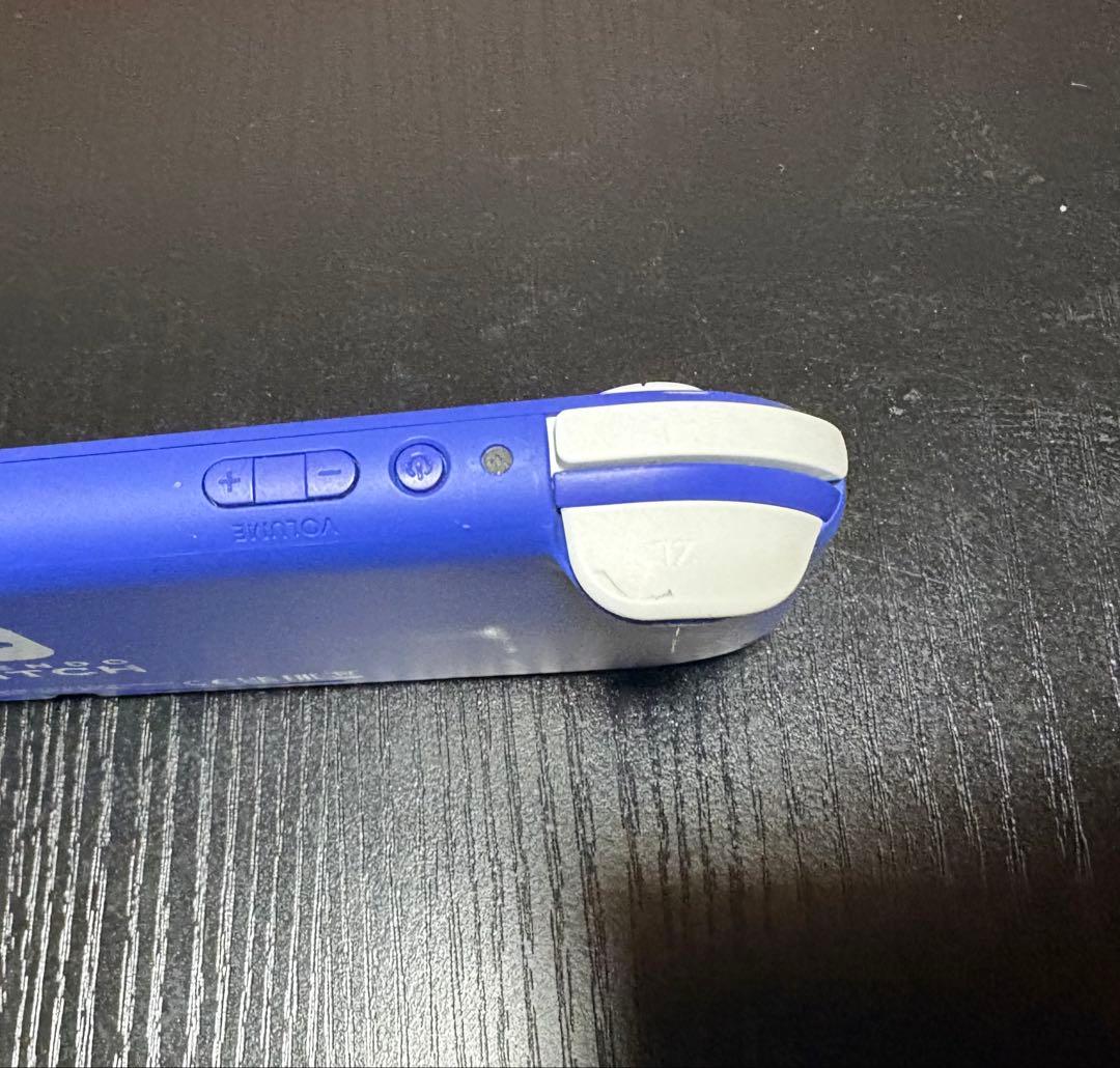 Nintendo Switch Lite ブルー　充電器ケース付