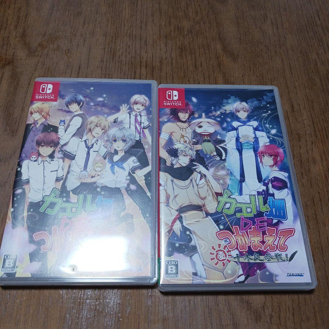 Switch　2本セット　かえる畑DEつかまえて　　夏　千吉良参戦！