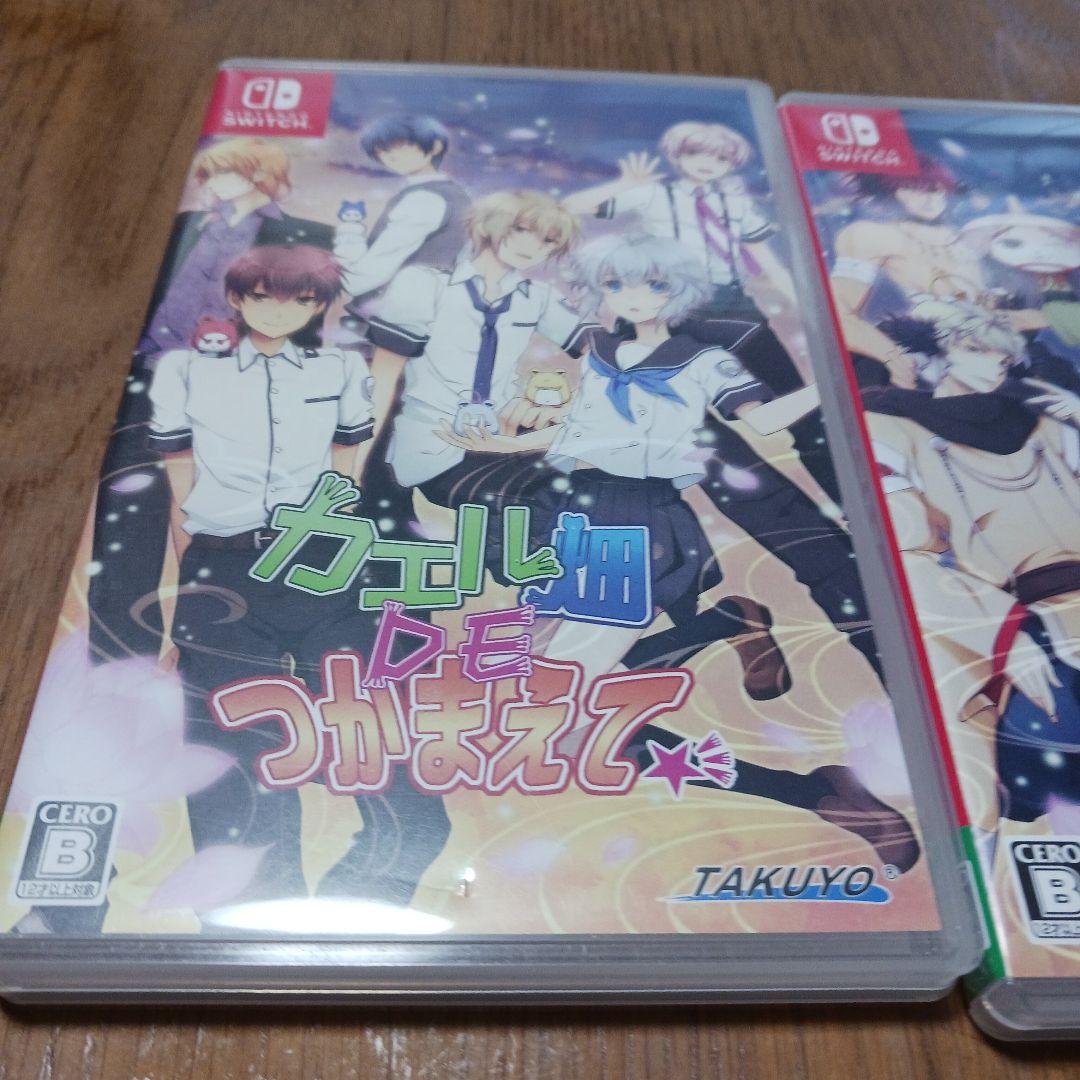 Switch　2本セット　かえる畑DEつかまえて　　夏　千吉良参戦！