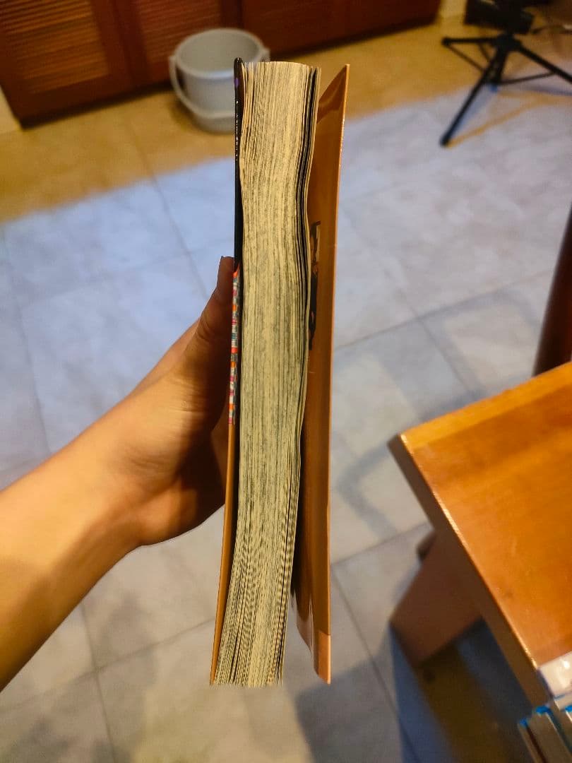 ジョジョリオン14巻以外＋(おまけで着いてたしおり)