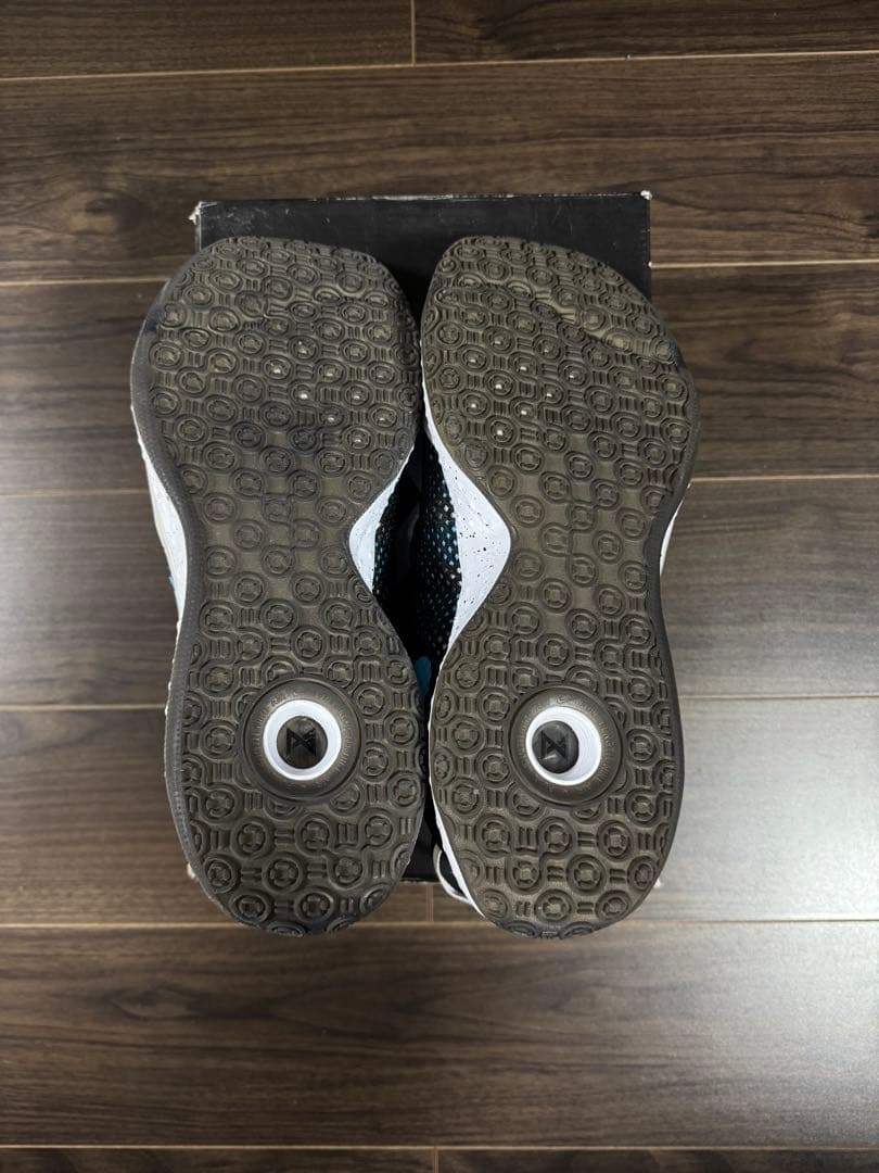 シューズ(男性用) NIKE PG 4 EP