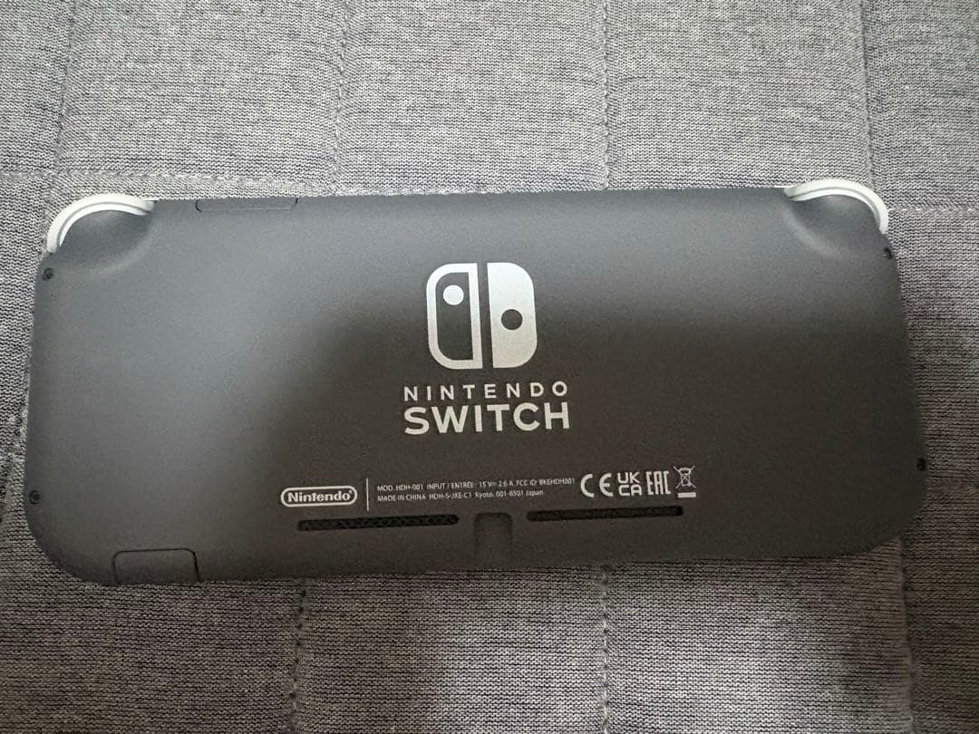 【動作確認済/美品】Nintendo Switch Lite グレー　本体